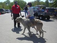 /images/events/1/BARK IN THE PARK 2007 004-large-thumb.jpg